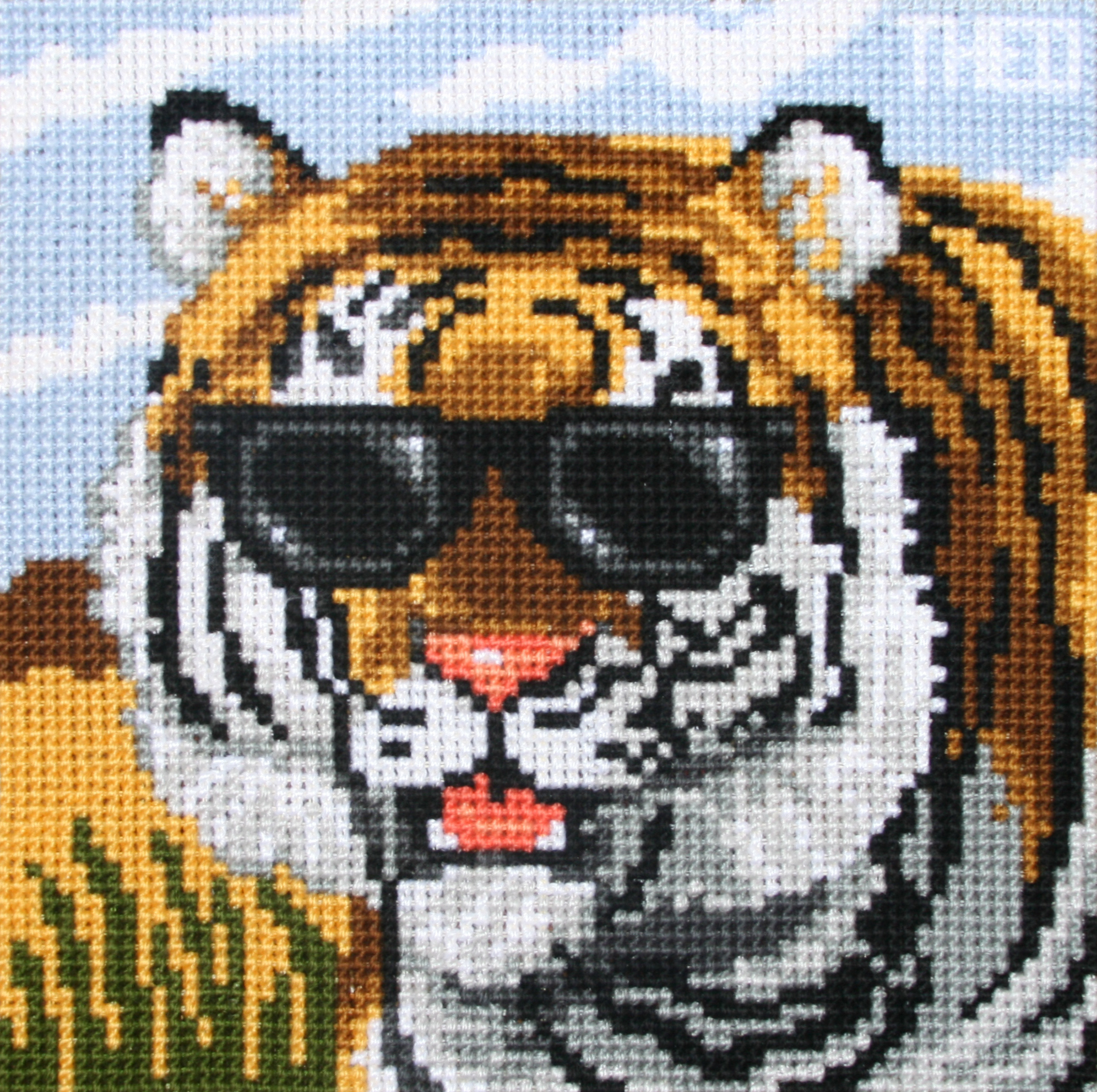 'Elwood' from the 'Tigers in Shades' collection.