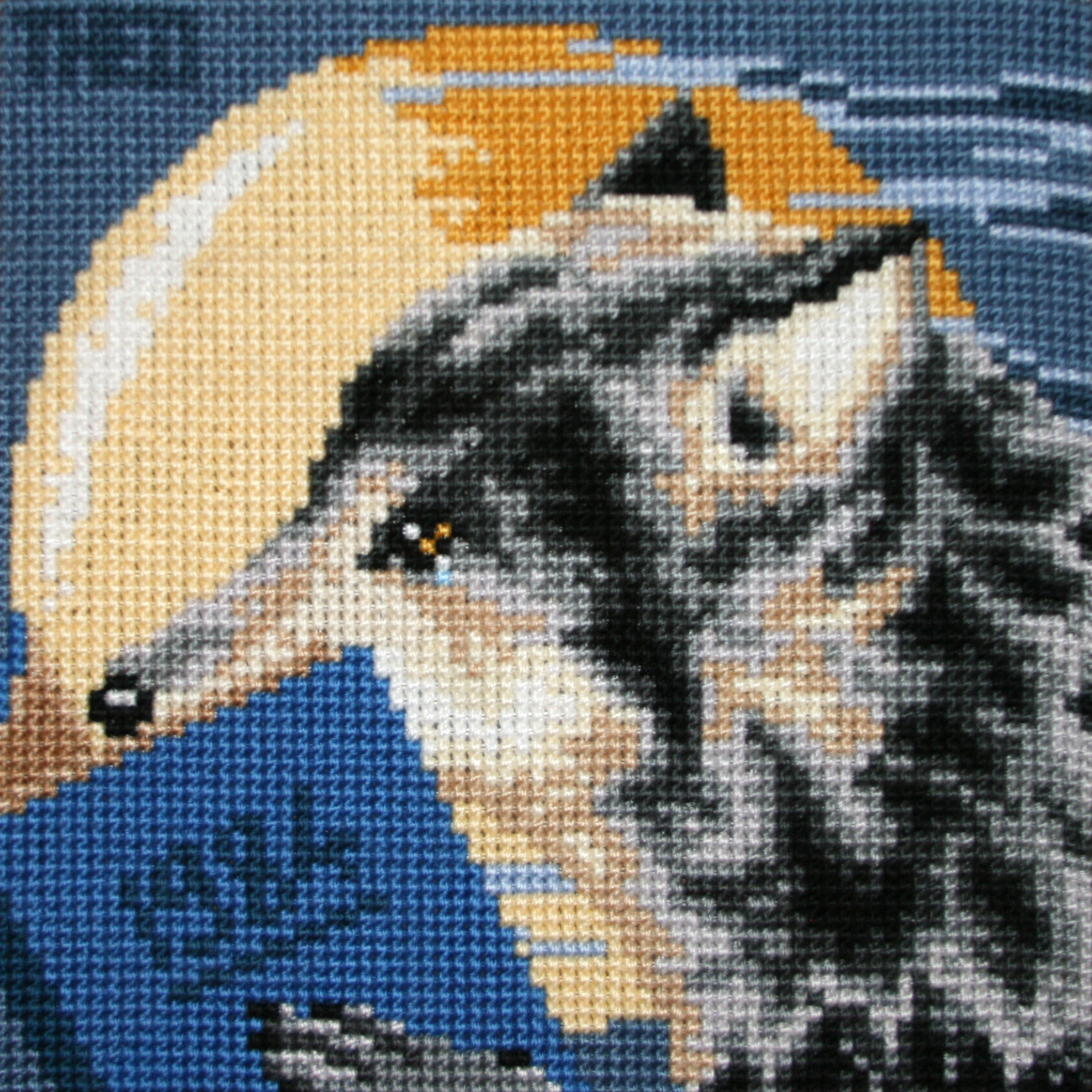 ‘WOLVES WITH GOOD BOOKS’ collection